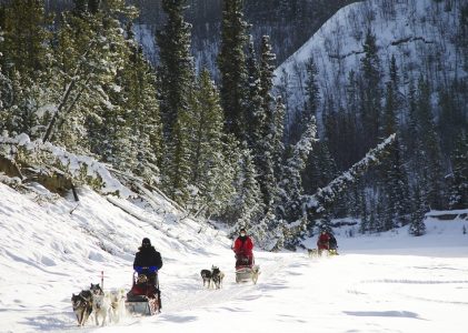 Aventures hivernales au Yukon et en Alberta : Whitehorse, Calgary, Banff et Jasper – 15 jours