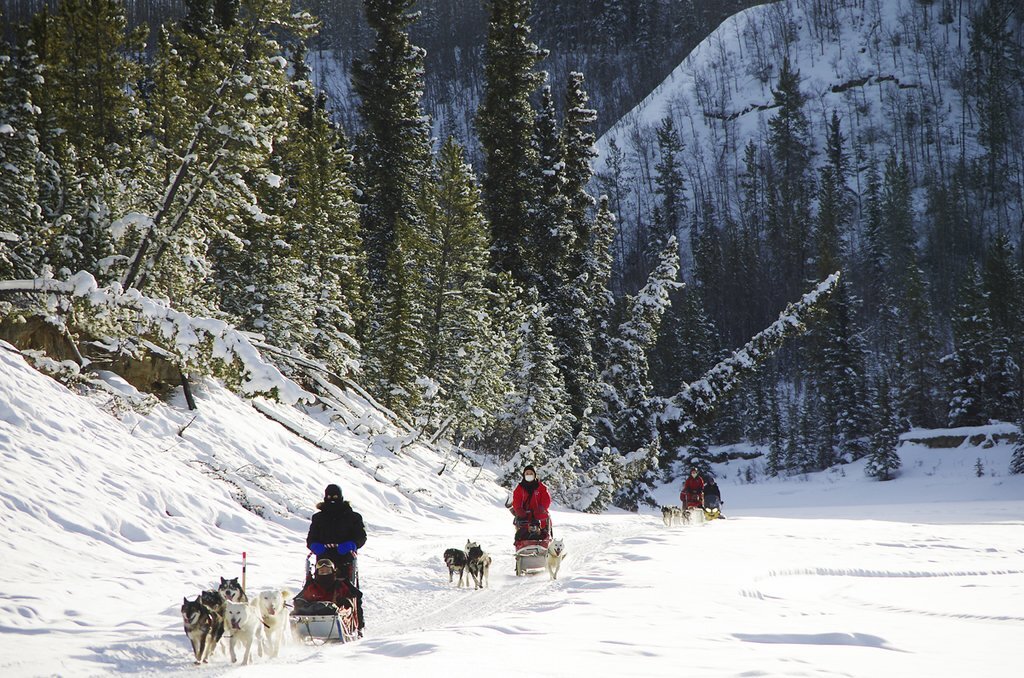 Aventures hivernales au Yukon et en Alberta : Whitehorse, Calgary, Banff et Jasper - 15 jours - img