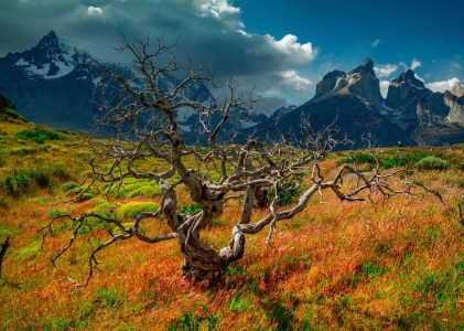 Circuit classique en Patagonie méridionale – 16 jours
