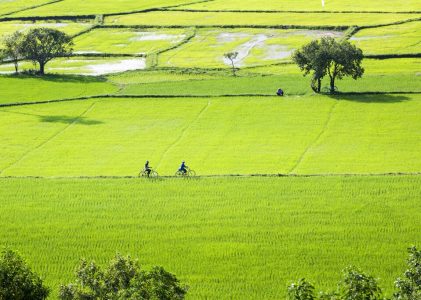 Circuit culturel épique du Viêt Nam et du Cambodge – 21 jours