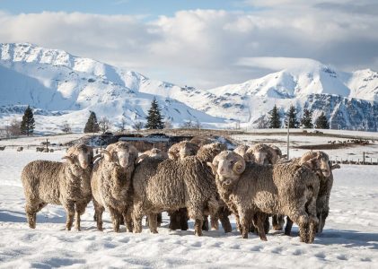 Découverte de la Nouvelle-Zélande en hiver – 14 jours