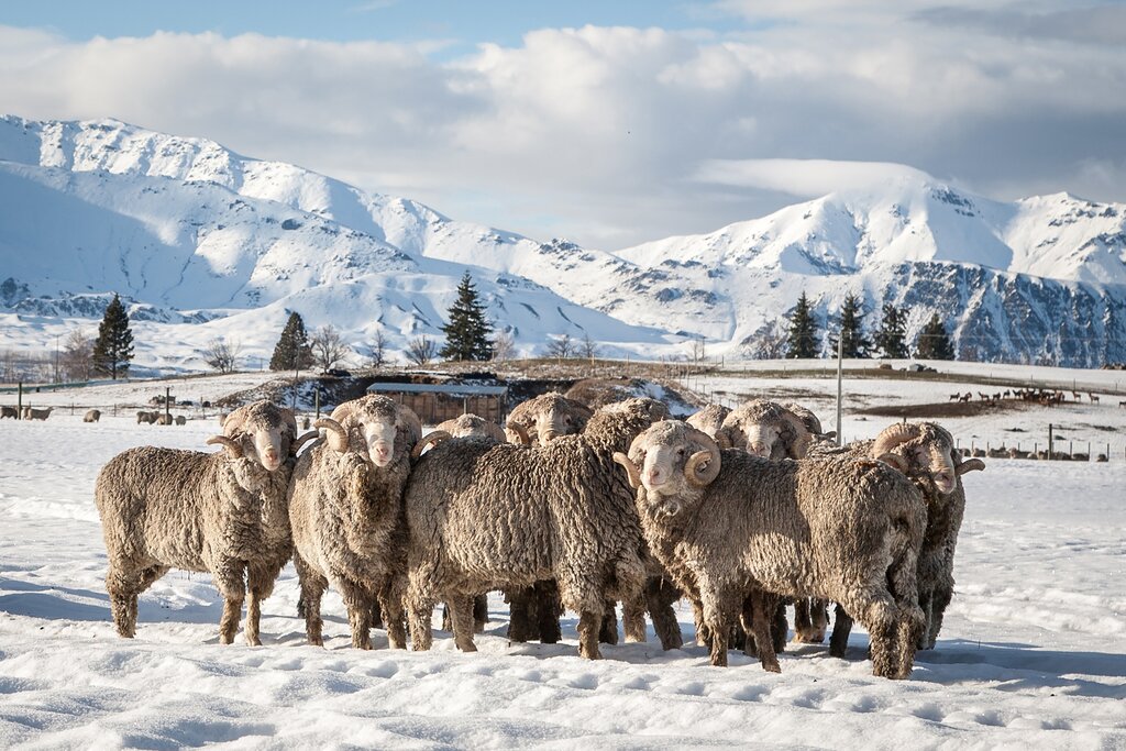 Découverte de la Nouvelle-Zélande en hiver - 14 jours - img