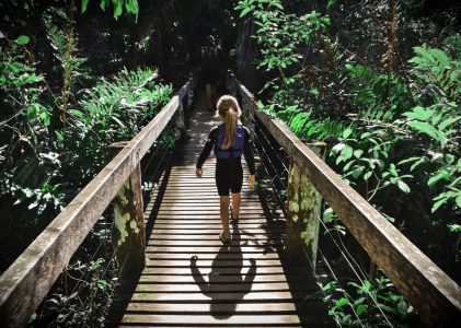Le Brésil ultime pour les familles actives : Rio de Janeiro, Foz do Iguaçu, Pantanal Sud, Bonito – 14 jours