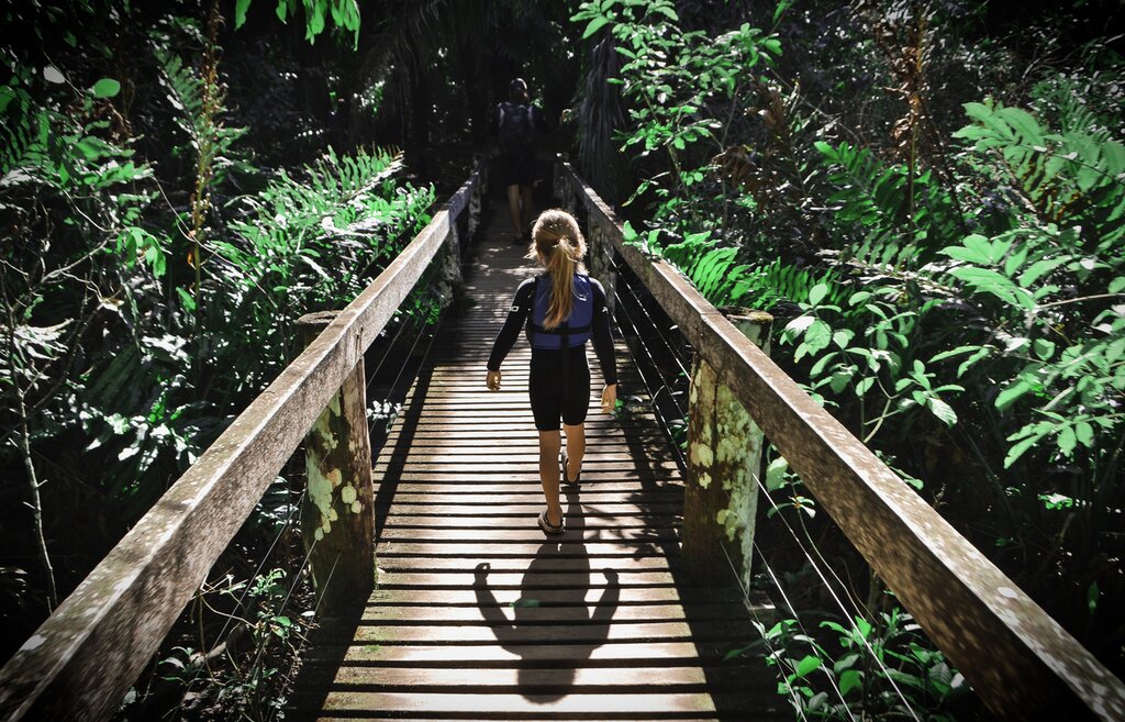 Le Brésil ultime pour les familles actives : Rio de Janeiro, Foz do Iguaçu, Pantanal Sud, Bonito - 14 jours - img