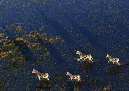Les points forts de la Namibie, du Zimbabwe, du Botswana et de l&rsquo;Afrique du Sud – 21 jours