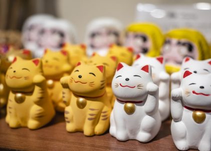 Les points forts du Japon en famille : Tokyo et Kyoto – 7 jours