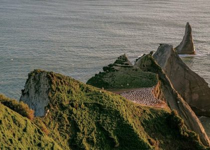L&rsquo;île du Nord de la Nouvelle-Zélande – 7 jours