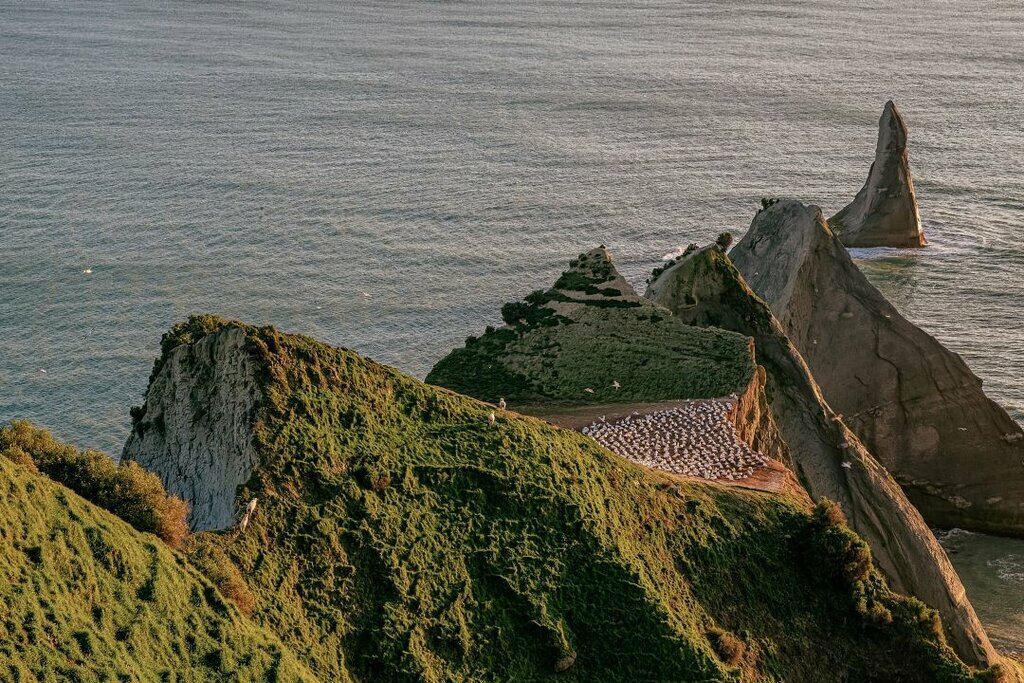 L&rsquo;île du Nord de la Nouvelle-Zélande – 7 jours