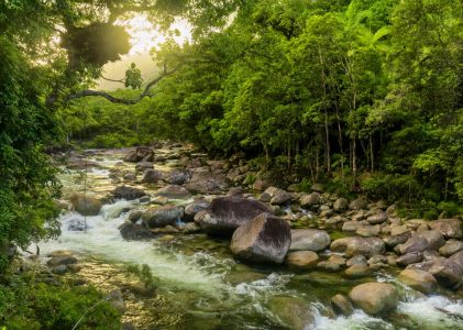 Lune de miel de luxe en Australie : Villes, Outback, récifs et forêt tropicale – 14 jours