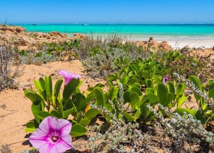 Lune de miel en Australie – Aventure en plein air : Melbourne, Sydney et la côte ouest – 14 jours
