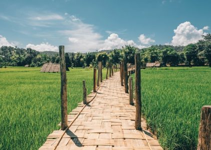 Trésors cachés de la Thaïlande et du Cambodge : De Bangkok à Phnom Penh – 21 jours
