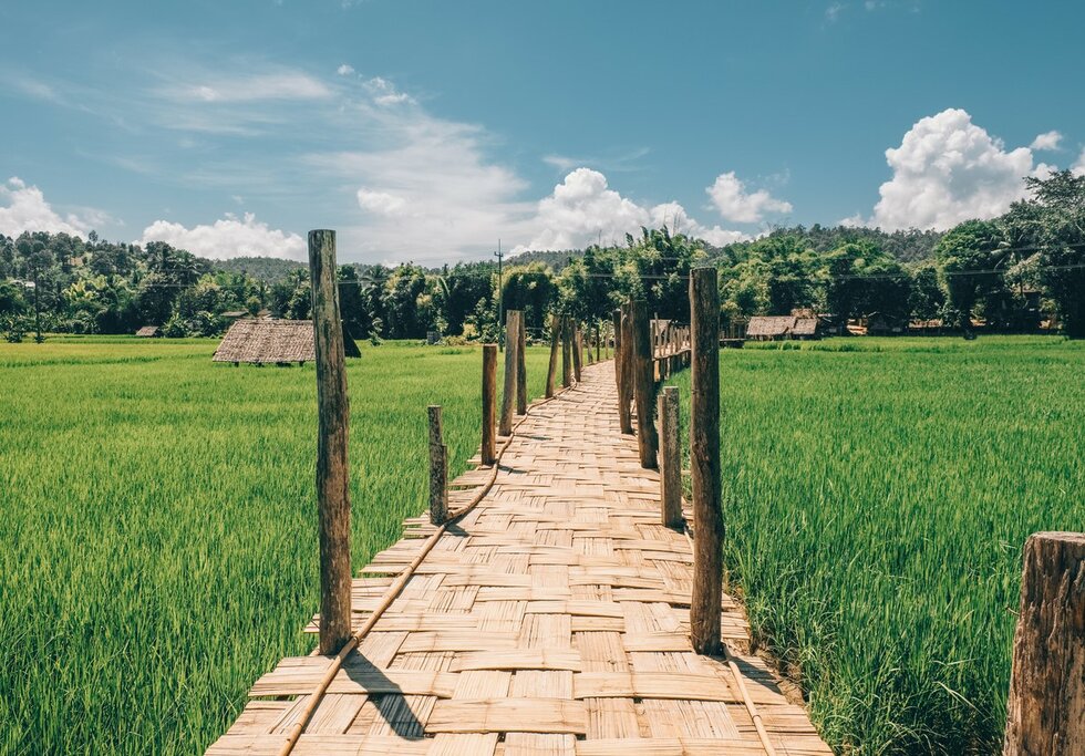 Trésors cachés de la Thaïlande et du Cambodge : De Bangkok à Phnom Penh - 21 jours - img