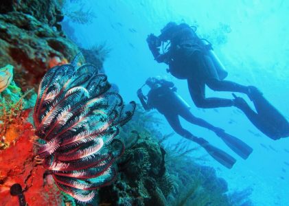 Ultimate Diving Safari à Bali, Nusa Penida et Menjangan – 14 jours