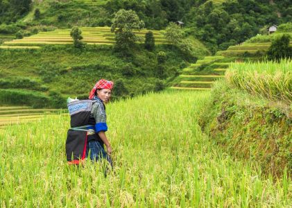 Vietnam et Thaïlande authentiques : séjours chez l&rsquo;habitant, ateliers et expériences locales – 21 jours