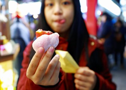 Voyage en famille au Japon : Tokyo, Fujiyoshida et Kyoto – 7 jours