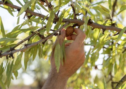 Circuit culturel et culinaire en Jordanie – 9 jours
