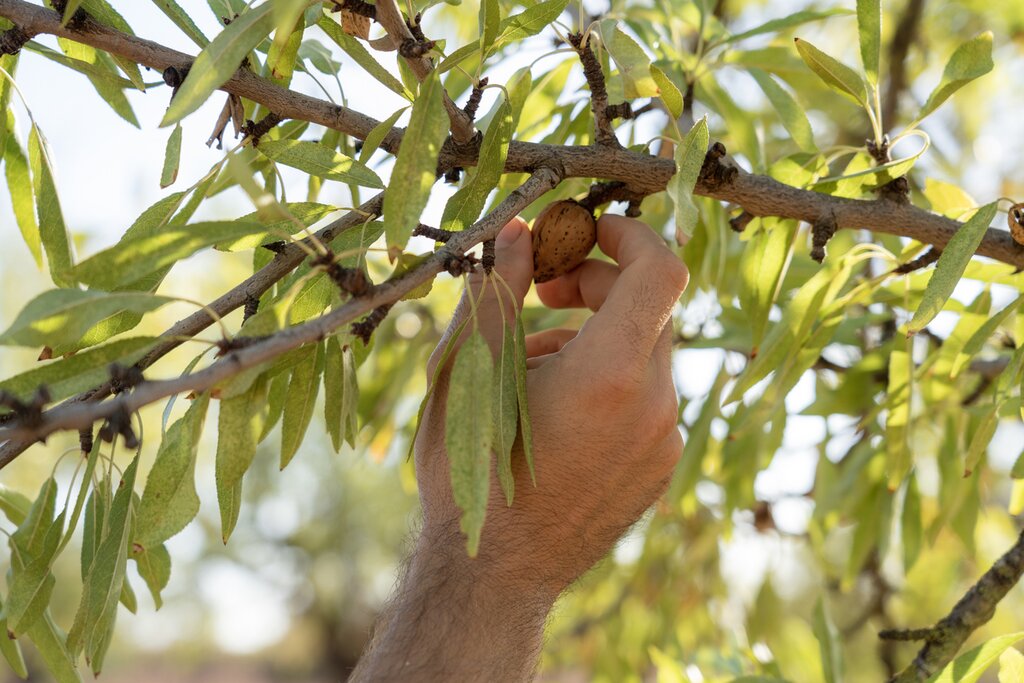 Circuit culturel et culinaire en Jordanie – 9 jours