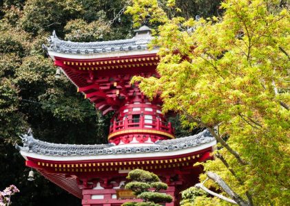 Circuit des temples du Japon – Chemin de pèlerinage de Shikoku, Kyoto et Osaka – 13 jours