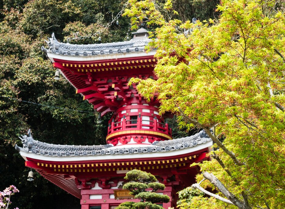 Circuit des temples du Japon - Chemin de pèlerinage de Shikoku, Kyoto et Osaka - 13 jours - img