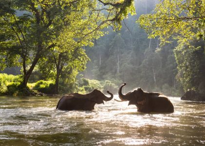Expériences authentiques en Thaïlande et au Cambodge – 14 jours