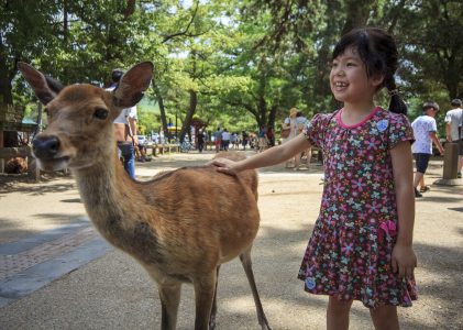 Le Japon classique pour les familles : Culture, villes, faune et parcs à thème – 13 jours
