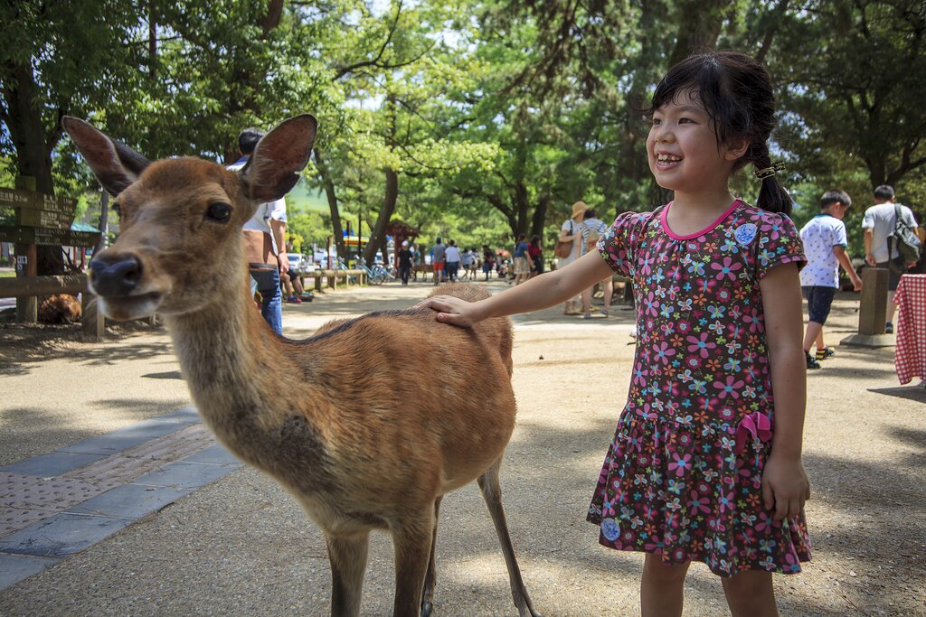 Le Japon classique pour les familles : Culture, villes, faune et parcs à thème - 13 jours - img