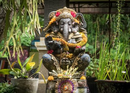 Vie sauvage, culture et aventure à Ubud – 5 jours