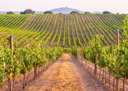 Voyage de luxe au Portugal et en Espagne : Culture, campagne et gastronomie – 10 jours