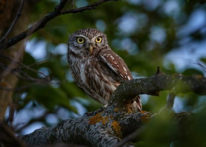 13 jours en Jordanie – 5 idées d&rsquo;itinéraires uniques