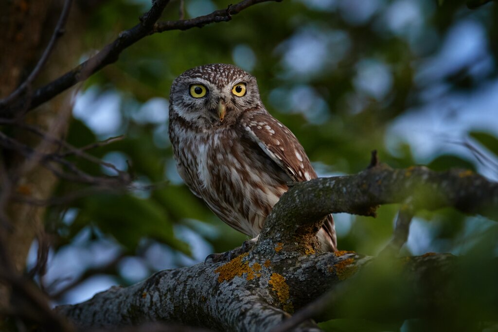 13 jours en Jordanie - 5 idées d'itinéraires uniques - img