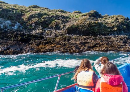 1 semaine en Patagonie – 5 idées d&rsquo;itinéraires pour les familles