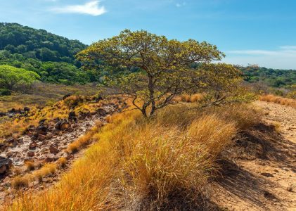 5 jours au Costa Rica – 5 idées d&rsquo;itinéraires hors des sentiers battus