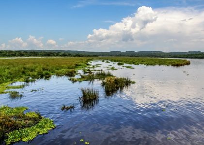 5 jours en Ouganda – 4 idées d&rsquo;itinéraires uniques