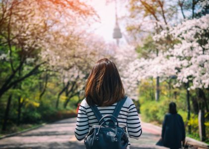 A la recherche des cerisiers en fleurs en Corée du Sud : Séoul, l&rsquo;île de Jeju et Busan – 8 jours