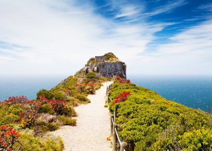 Afrique du Sud – Escapade au Cap occidental : Le Cap et les vignobles – 8 jours