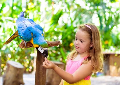 Amusement en famille hors des sentiers battus au Brésil : Cascades, forêts tropicales, plages et dunes – 14 jours