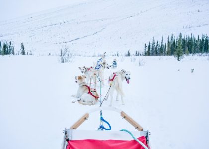 Aurores boréales et aventures hivernales dans le nord du Canada – 12 jours