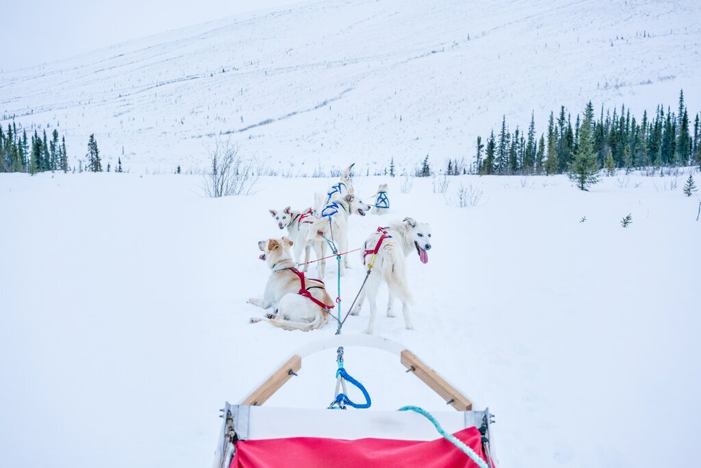 Aurores boréales et aventures hivernales dans le nord du Canada - 12 jours - img