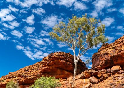 Australie – Grande barrière de corail, Top End et Outback – 16 jours