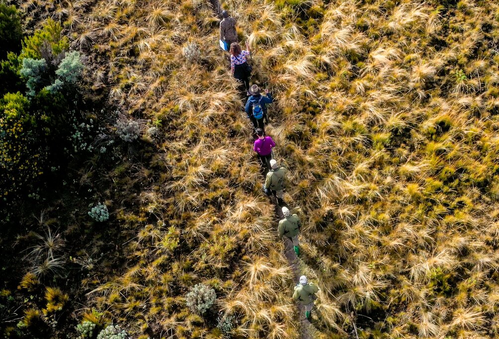 Aventure active en Ouganda – 10 jours