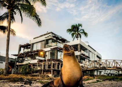 Aventure de luxe en Amazonie équatorienne et aux Galápagos – 10 jours