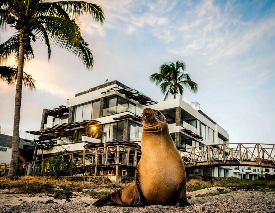 Aventure de luxe en Amazonie équatorienne et aux Galápagos - 10 jours - img
