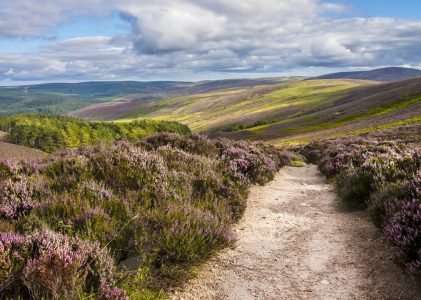 Aventure en plein air en Ecosse : Pitlochry, Fort William, Glencoe et Édimbourg – 6 jours