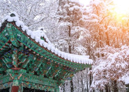 Aventure hivernale en Corée du Sud : Séoul, Pyeongchang, Gyeongju et Busan – 9 jours