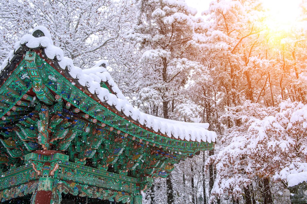 Aventure hivernale en Corée du Sud : Séoul, Pyeongchang, Gyeongju et Busan - 9 jours - img