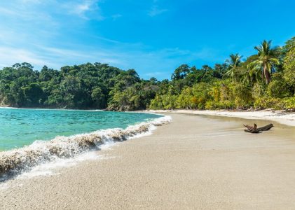 Aventure nature au Costa Rica à Manuel Antonio – 5 jours