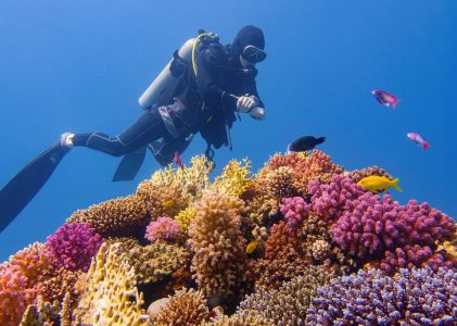 Aventure naturelle en Australie et Nouvelle-Zélande : De Sydney à Queenstown – 14 jours