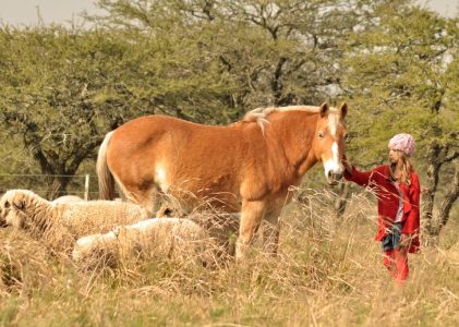 Aventures familiales en Patagonie – 7 jours