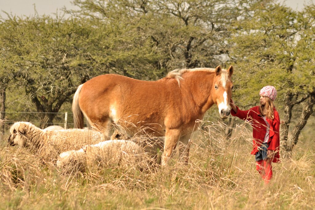 Aventures familiales en Patagonie – 7 jours