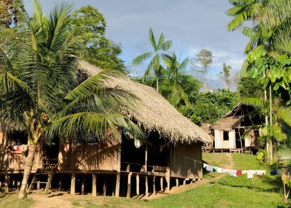 Bogota et l&rsquo;Amazonie : Meilleures idées d&rsquo;itinéraires